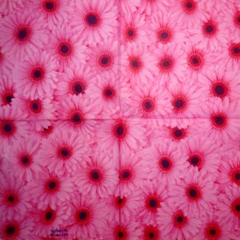 057 Daisies - 3-ply - Robert Charles